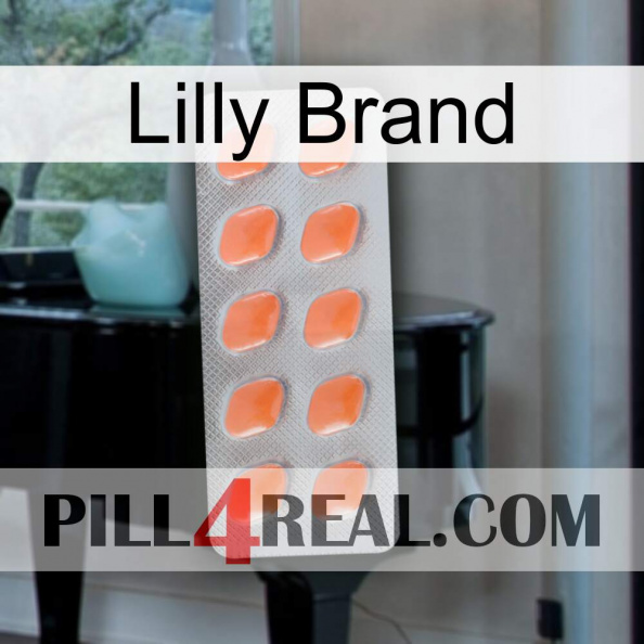 Lilly Brand 26.jpg